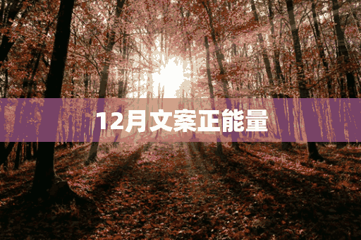 12月文案正能量(12月文案正能量短句)